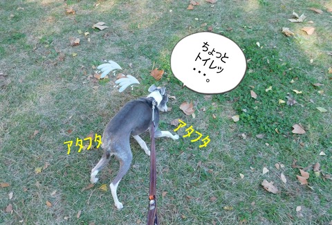 DSCN6628
