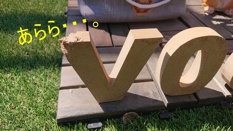 432917933_765232058880347_6969233401807375460_n