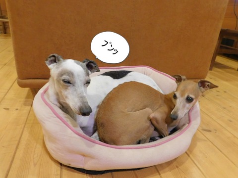 DSCN9574