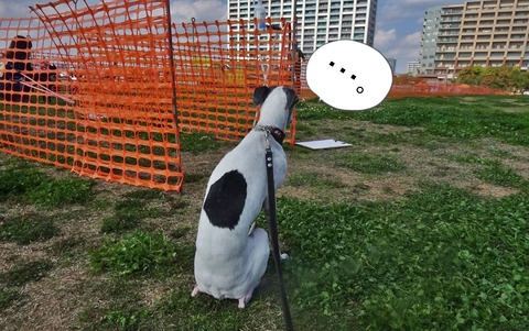 173828457_284451813333549_1429414229672701526_n