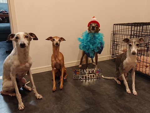 0a7ade4a-ca71-4f74-abec-12e137669188