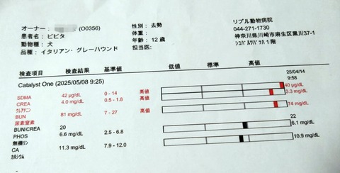 1c249eda-db29-45cb-adb0-e28cf6427f0e