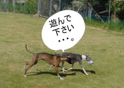 278581476_1088588048749794_7507927581756765758_n