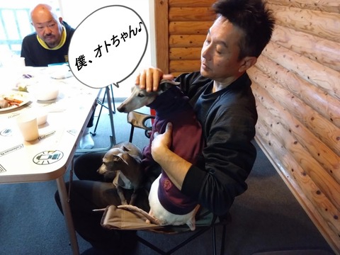 68b5c33a-fc02-4154-8936-fa60de2b44cd