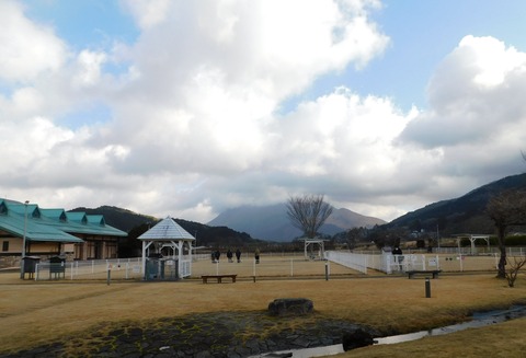 DSCN8304
