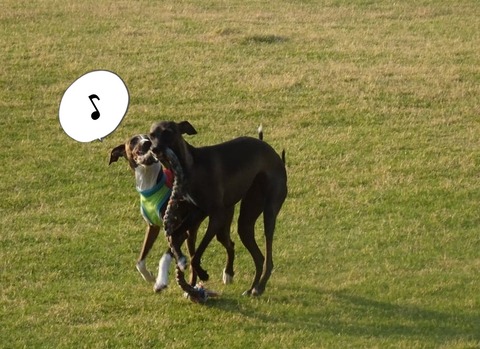 173443903_449543873012310_6979649149700117524_n