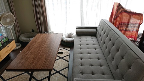 308497647_1171378607131030_7109517082049287768_n