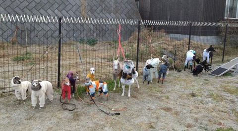 7eab34d7-9940-4134-97f8-ff9caf48c626