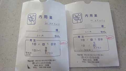 278782953_1206426356560181_1759388997165021621_n