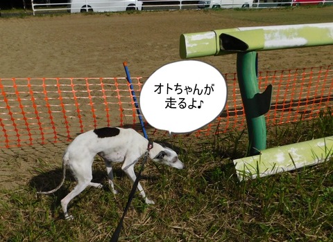 DSCN7088