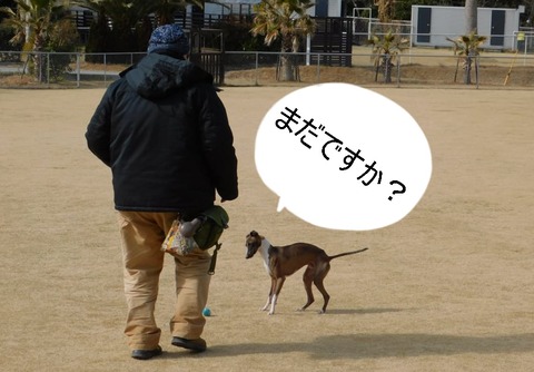 273726295_7233047370068886_2899311428821565971_n