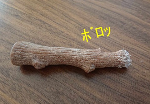 d2eb9b16-b52d-41a9-b504-e80f96ff1ef0
