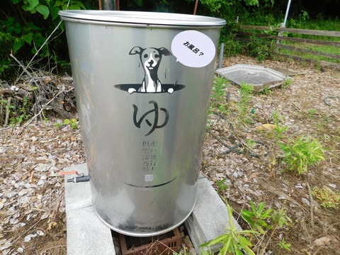 DSCN6071