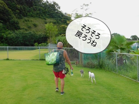 239160541_524965195385395_5643828650644593132_n