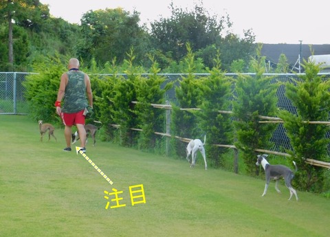 239183193_1022322748305586_6692235890047177602_n