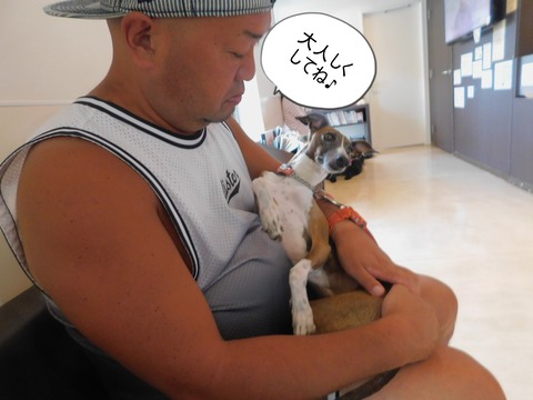 DSCN5826