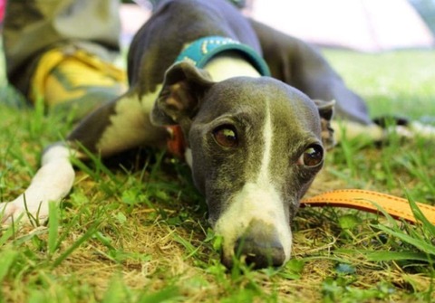 e30cbdf9-3492-4ff3-b3ef-fbd6f23fc2e9