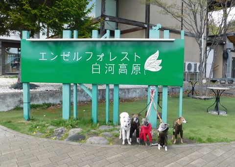 DSCN9685