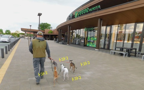 279898335_278237037766971_1983535970157747938_n