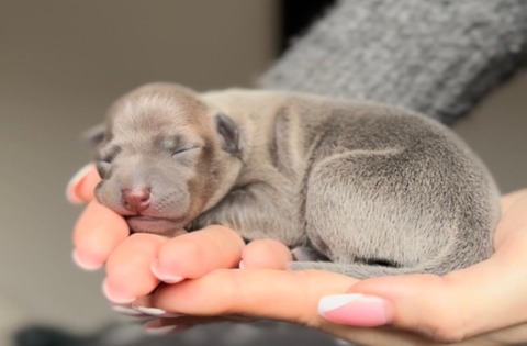 482321246_665707632803480_2165274900289991238_n