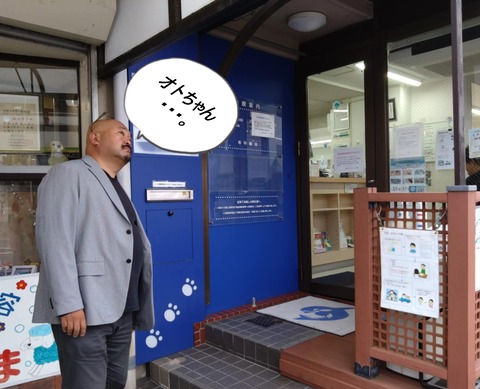 50c90cc9-4a09-4479-b420-e6b250a8a24e