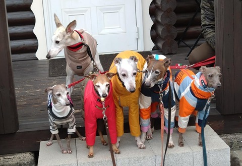 04a96ece-6894-4792-bff6-ec071ac299e5