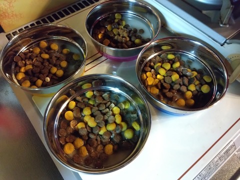 4df00a21-7162-476e-aacc-31b5c4a0a1da