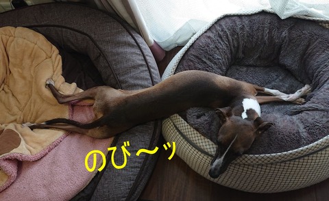 308438526_643386297204073_7798287515986113940_n