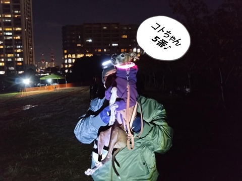 835afd66-d249-4e97-9641-b52831674e82