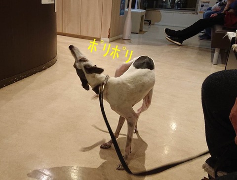 320456082_469659128629178_6832242890795551233_n