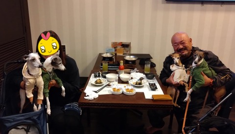 239ec8d8-6939-46ee-8707-561737a72fe0