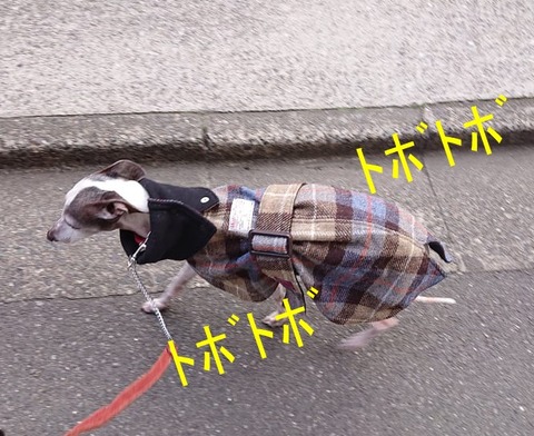 273052663_3254937604724998_772707317891026155_n