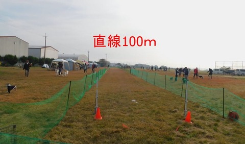 260536624_650893229624387_5720836992670623839_n