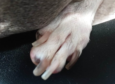 352176932_802319194933628_4868179130505880841_n