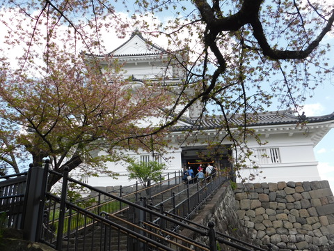 DSCN8391