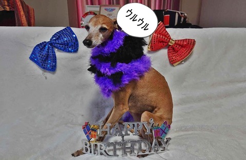 03d41f26-1fa8-4570-b60c-2625af08f7db