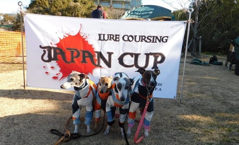 273503202_355857929507115_5529796509364008800_n