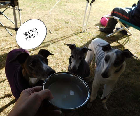 DSCN6919