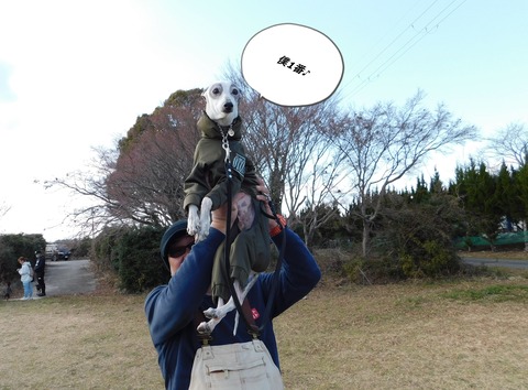 DSCN9190