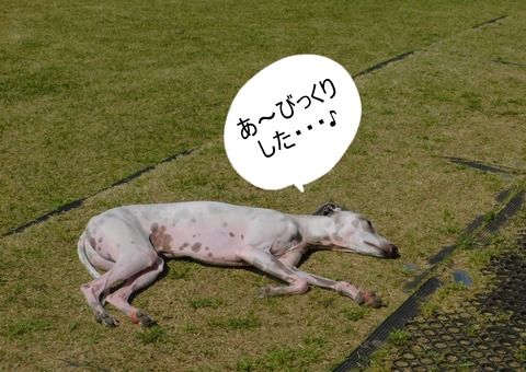 278445909_3124926837773642_315137896774009558_n