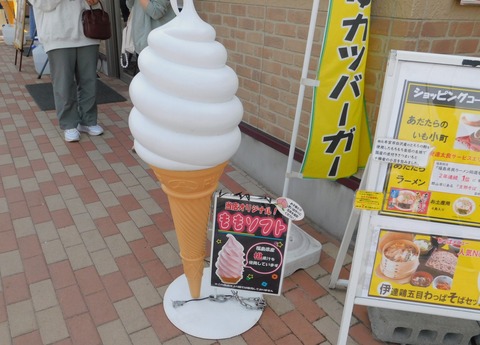 DSCN8590