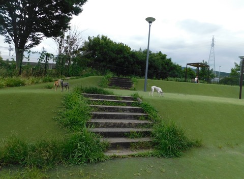 DSCN6361