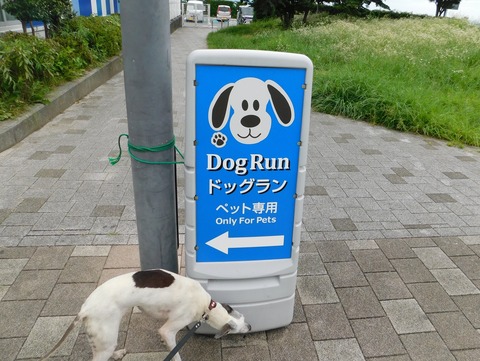 DSCN6359