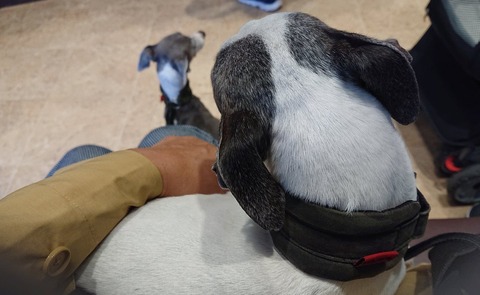 277974126_502845664896630_441642562534841931_n