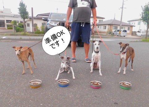 DSCN0308