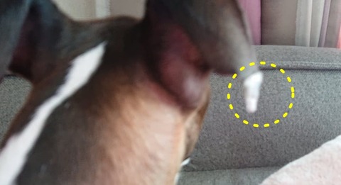 272967188_340871617938431_1391534721017304539_n