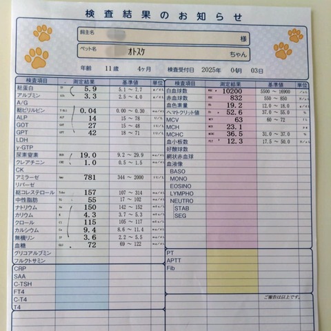 c9ef5fcd-658c-453f-bd67-0c73d6d0e493