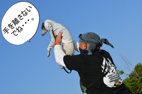 176650240_3544879835736703_7463347015877868490_n