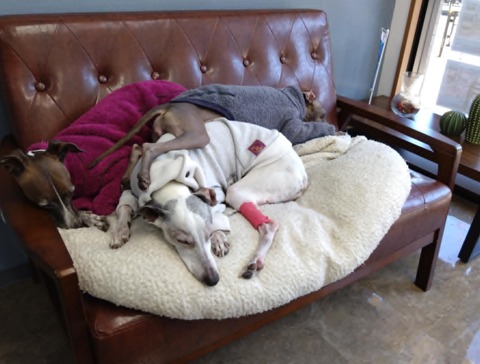 ダウンロード (2)