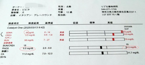 cf0e29f0-565f-4e23-a344-436c734f8365